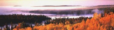 C'est l'automne
