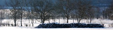 C'est l'hiver